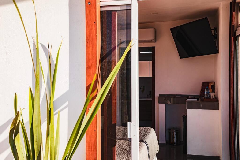 Cabana El Alamo Con Jacuzzi Villa Valle de Guadalupe Kültér fotó