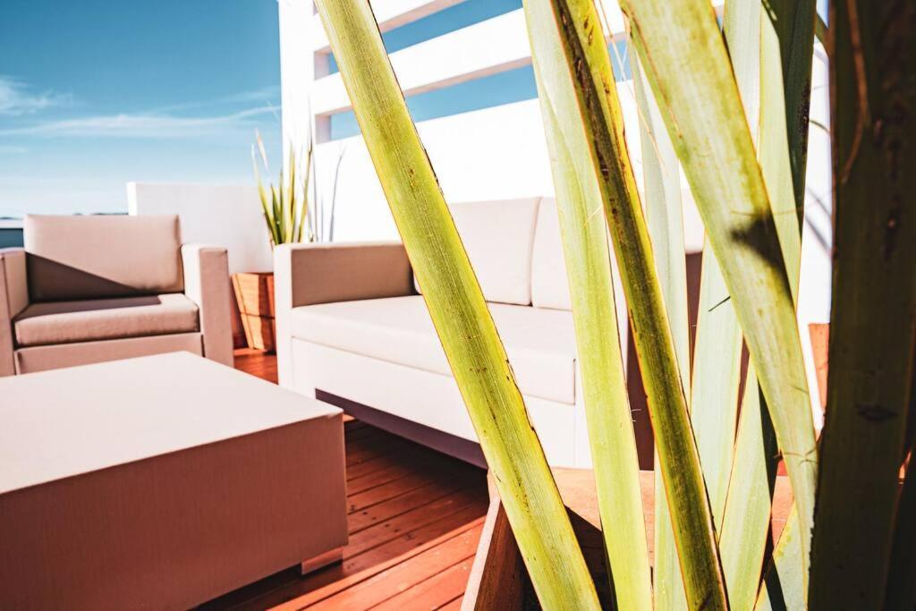 Cabana El Alamo Con Jacuzzi Villa Valle de Guadalupe Kültér fotó