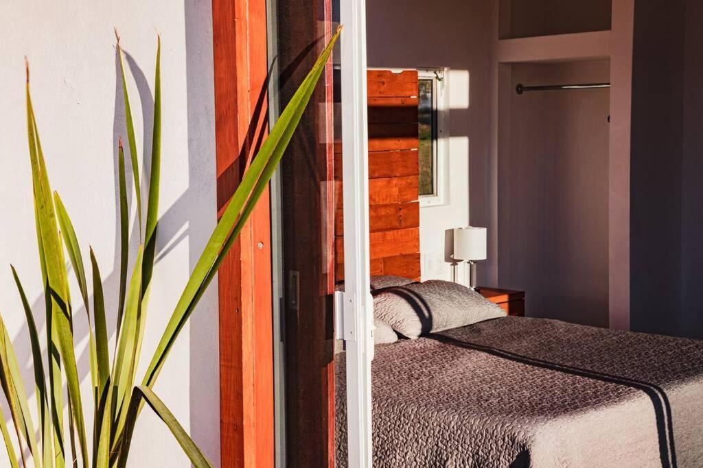 Cabana El Alamo Con Jacuzzi Villa Valle de Guadalupe Kültér fotó